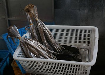 Full healthy cuticle intact technology